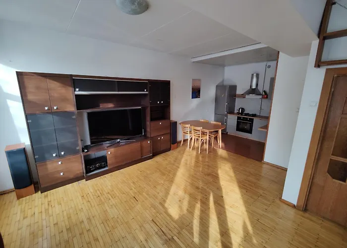 Spacious Apartment Near Old Town