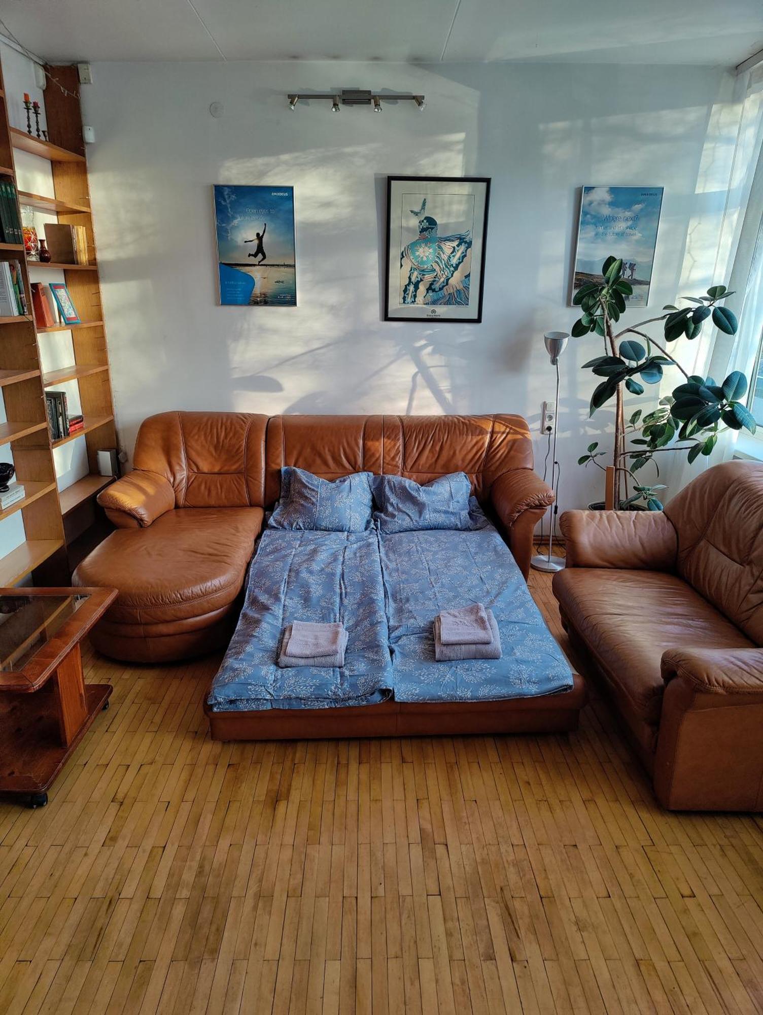 Apartment Spacious Near Old Town Vilnius